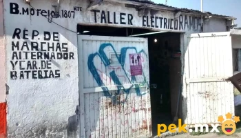 Taller Eléctrico nano Ramos - Nuevo Refugio