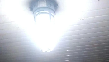 tecnaelec - Culiacán Rosales