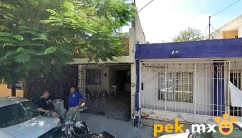 Tesla Electric - Valle De Santa Lucía