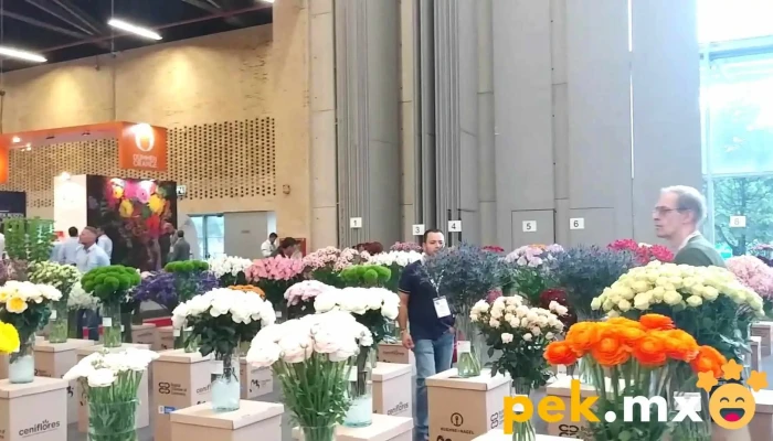 Agroquimicos Aranzazu Sa De Cv Instagram - Santa María Aranzazú