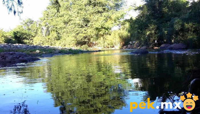 Agua Caliente Grande -  Puntaje - Agua Caliente Grande