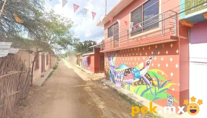 Alebrijes calvo aguilar - San Martín Tilcajete