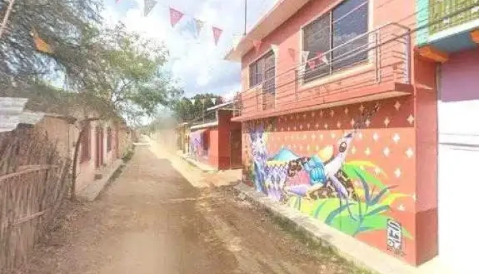 Alebrijes Calvo Aguilar -  Zona - San Martín Tilcajete