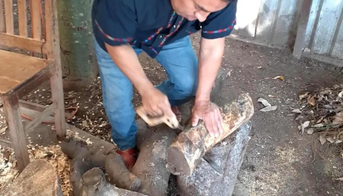 Alebrijes Oaxaca Magico Del Propietario - San Martín Tilcajete