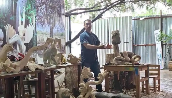 Alebrijes Oaxaca Magico Videos - San Martín Tilcajete
