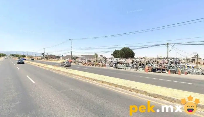 Auto Eléctrico Jesús Tokes - Santa Cruz Cuauhtenco