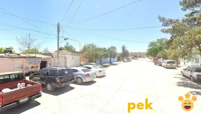 Auto Eléctrico Lopez Portillo - López Portillo