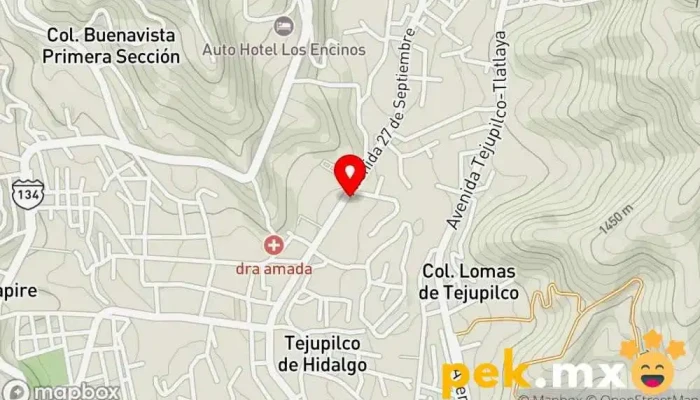 mapa de AUTO SERVICIO ELÉCTRICO 