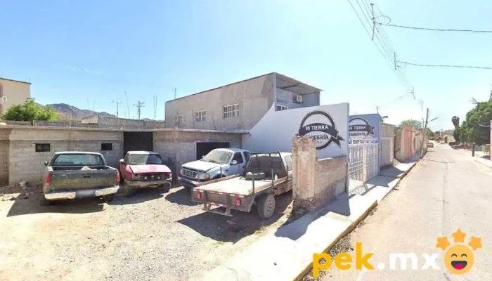 Autoelectrico - Centro