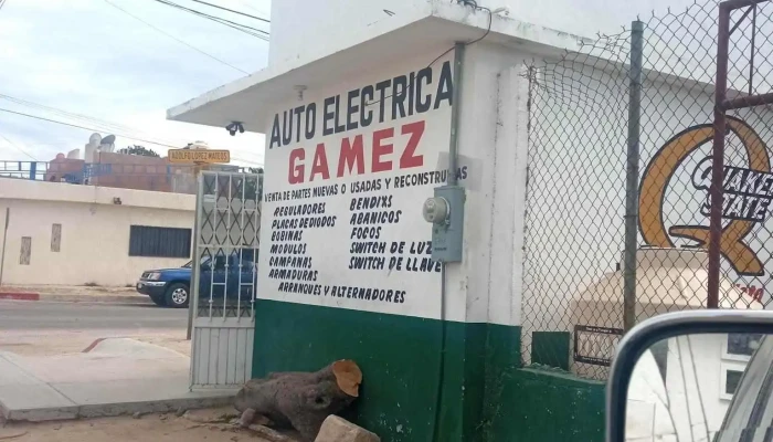 Autoelectronica Gamez - Los Olivos