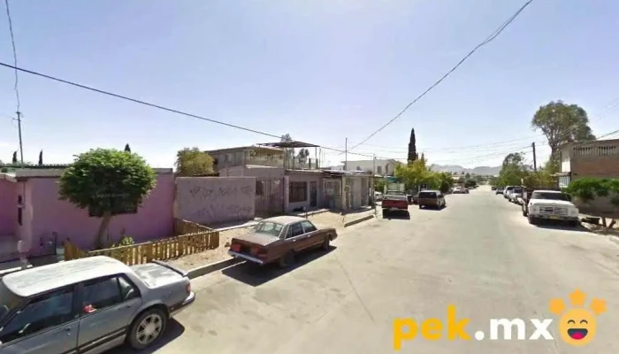 Azman Servicios - Juárez