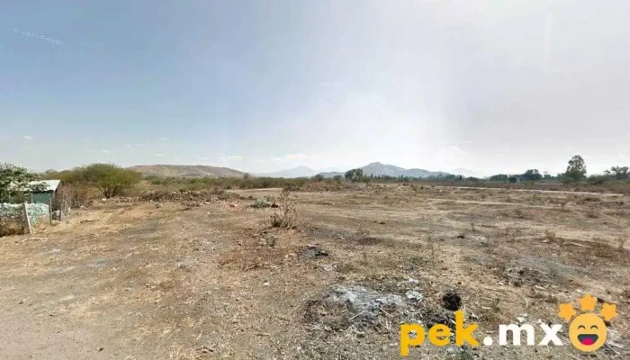basurero municipal santiago apostol - Santiago Apóstol