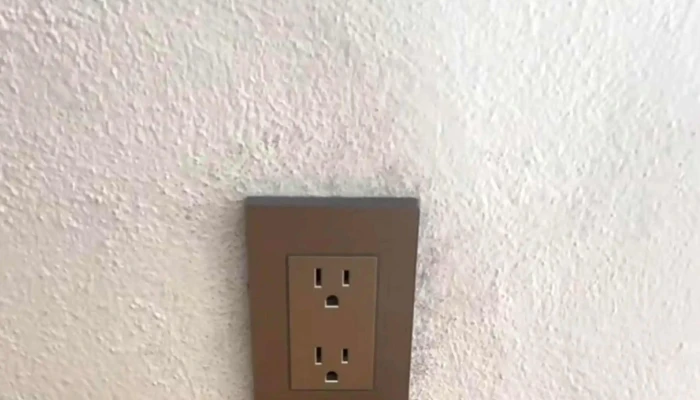 Bd Electricista Y Plomero Sitio Web - Estado de México