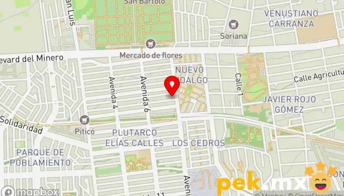 mapa de Bersal Cerrajero en Pachuca de Soto