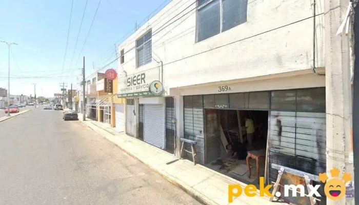 Bodega Sieer - Blvd. Cnel. Enrique Carrola Antuna 369 A
