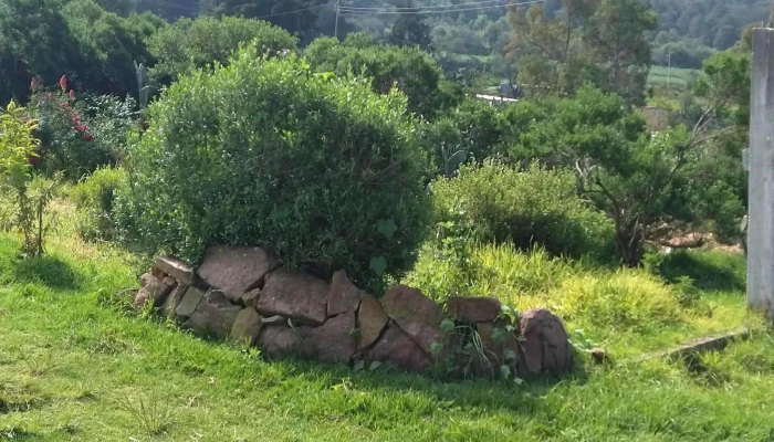 Boshindo Cerca De Mi - Villa de Acambay de Ruíz Castañeda