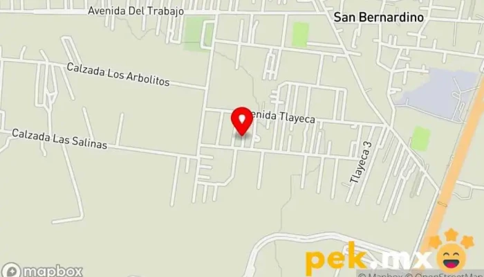 mapa de C Ingeniero eléctrico en Texcoco de Mora