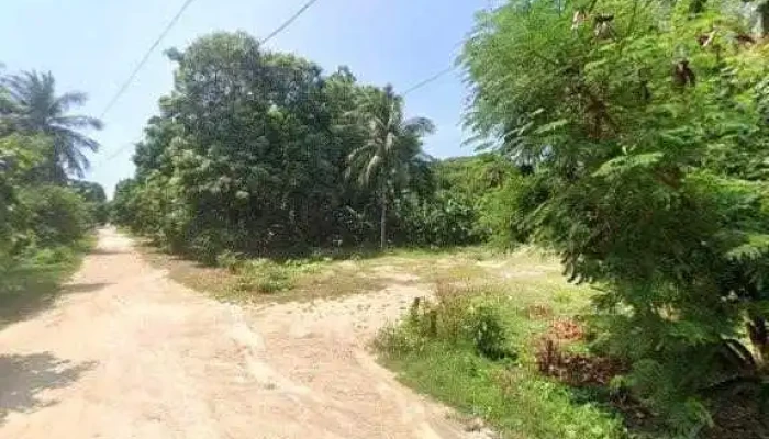 Calvo Bros Electric -  Como Llegardeg - Bajos de Chila