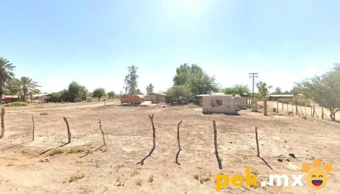 Carcamo Durango - Ejido Cucapah Mestizos