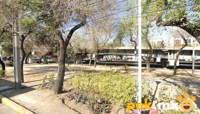 Casa De Material Electrico Iev - Iztacalco, Ciudad De México