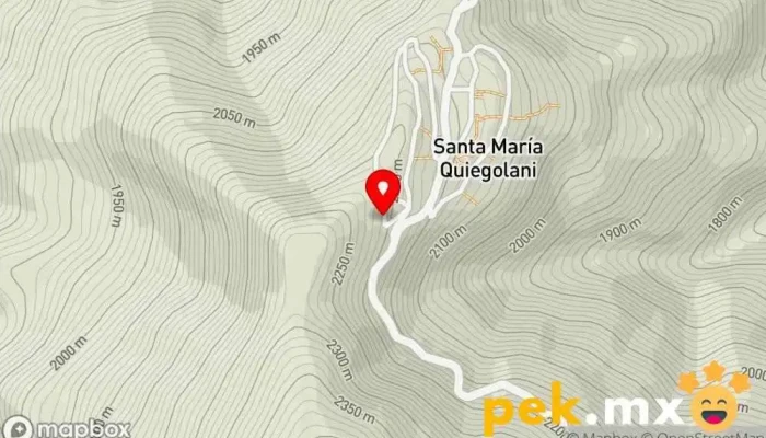 mapa de Cecyte Emsad 67 Escuela en Santa María Quiegolani