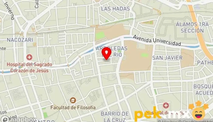 mapa de Centro De Abasto Cerrajero Cerrajero en Santiago de Querétaro