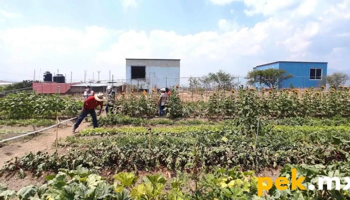 Centro para la Gestión Integral de Residuos Sólidos Urbanos de San Lorenzo Cacaotepec (antes Relleno Sanitario) - San Lorenzo Cacaotepec