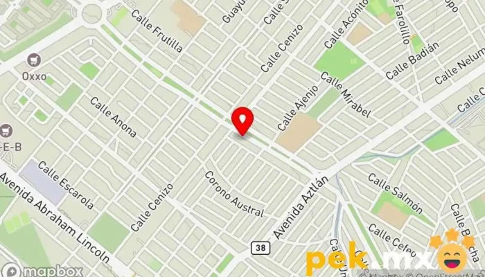 mapa de Cerrajeria Alvarado Cerrajero en Monterrey