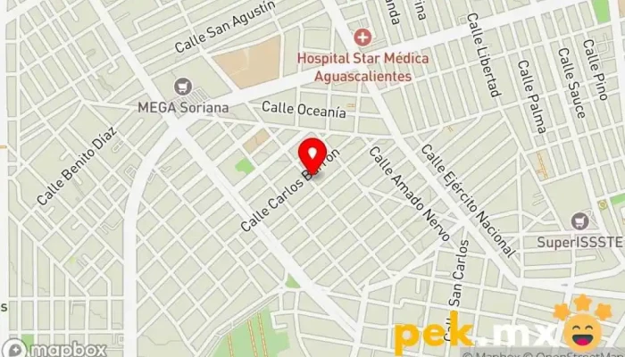 mapa de Cerrajería Automotriz Don Ramon Cerrajero en Aguascalientes