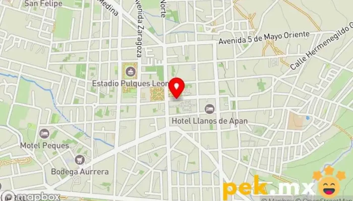 mapa de Cerrajeria Cenex Cerrajero en Apan