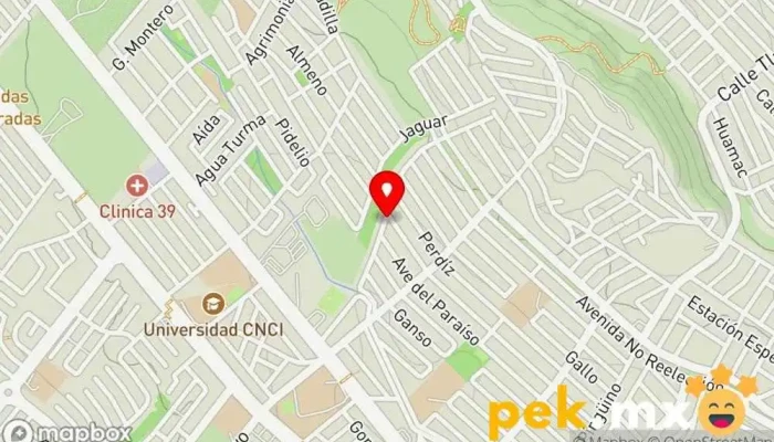 mapa de Cerrajeria Cortes Cerrajero en Monterrey