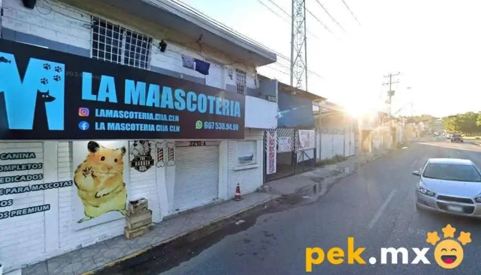 Cerrajeria Danu - Culiacán Rosales