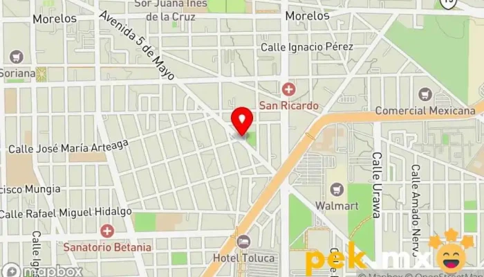 mapa de Cerrajería Diana Cerrajero en Toluca de Lerdo
