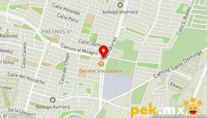 mapa de Cerrajería Express 24 Horas Cerrajero en Cdad. Apodaca
