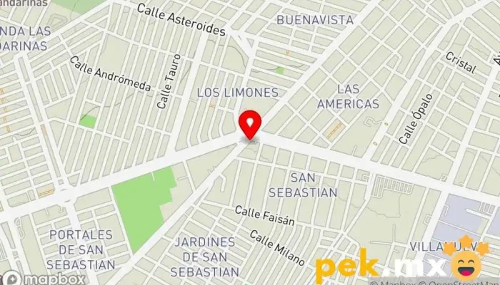 mapa de Cerrajería La Merced Cerrajero en León de los Aldama