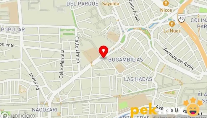 mapa de Cerrajería Leo Cerrajero en Santiago de Querétaro