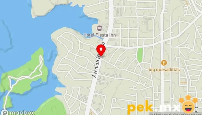 mapa de Cerrajería Lomas de Rosales Cerrajero en Tampico