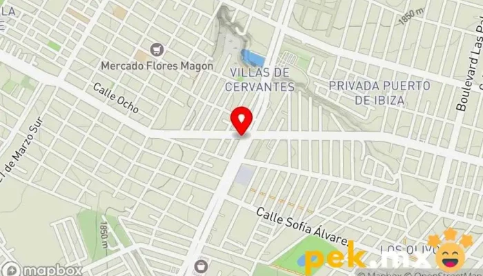 mapa de Cerrajería MAX Cerrajero en León de los Aldama