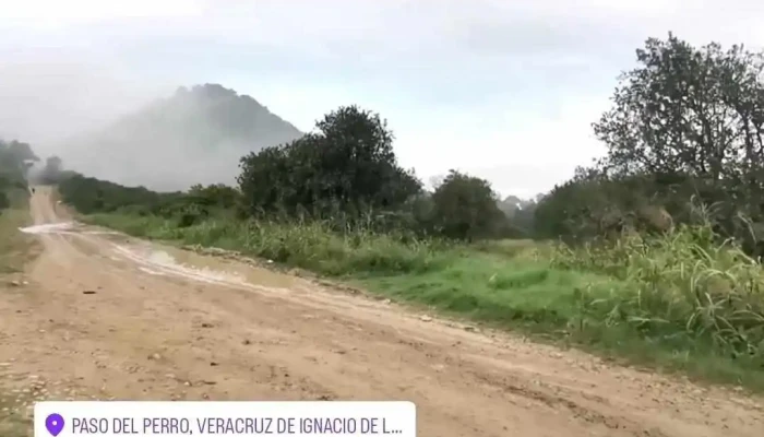Cerrajeria Soto Del Propietario - Álamo