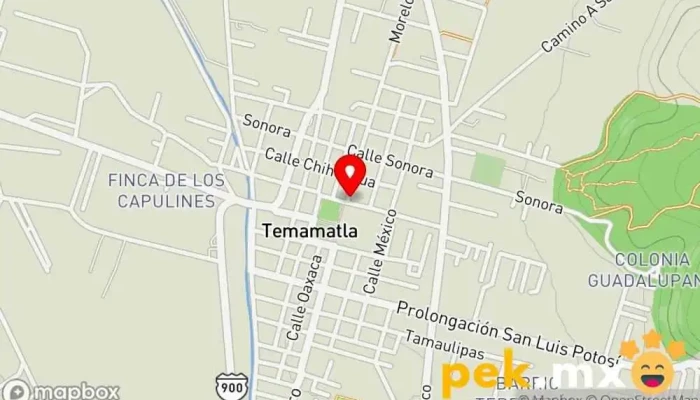 mapa de Cerrajeria Tore Cerrajero en Temamatla