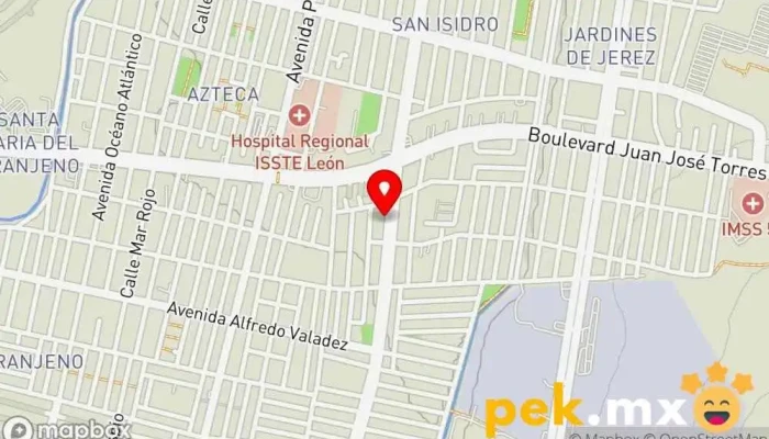 mapa de Cerrajeria Ultra Cerrajero en León de los Aldama