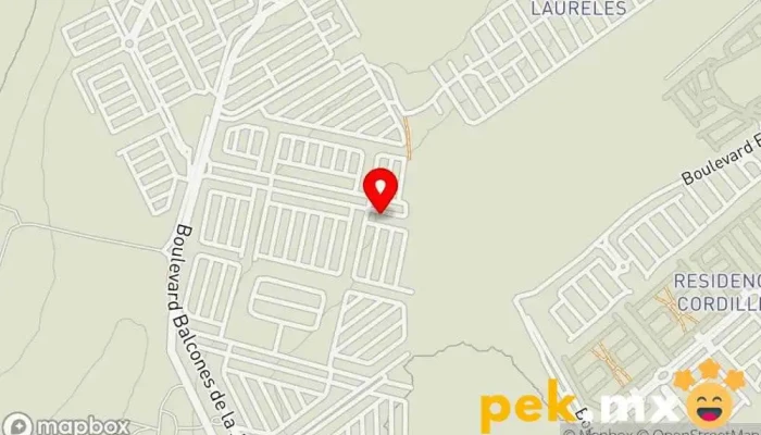 mapa de Cerrajería y Ferretería NTN Cerrajero en León de los Aldama