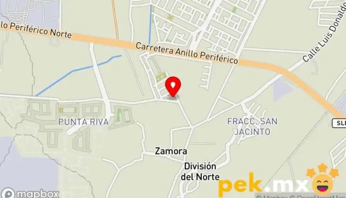 mapa de Cerrajeria y Servicios Jami Cerrajero en San Luis Potosí