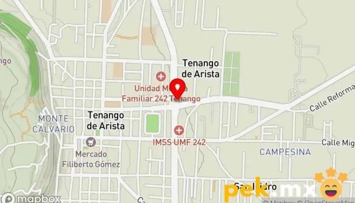 mapa de CFE CAC Tenango Oficina de gobierno local en Tenango