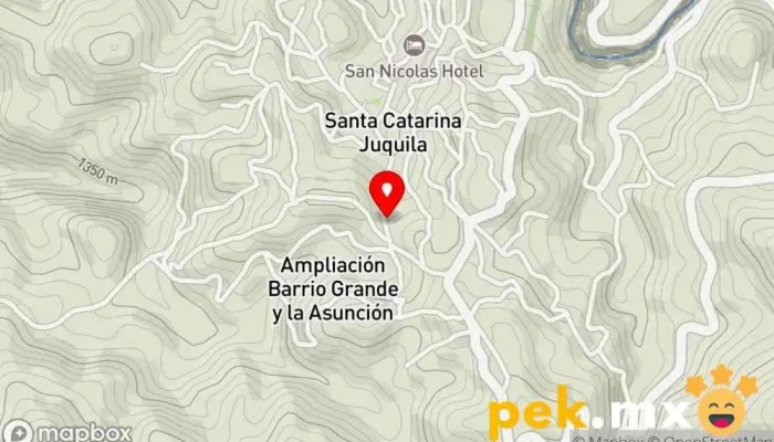 mapa de CFE Oficinas de empresa en Santa Catarina Juquila