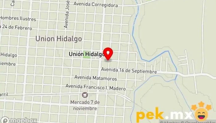 mapa de CFE Oficina del gobierno federal en Unión Hidalgo