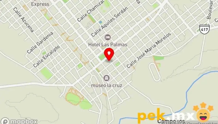 mapa de CFE Mático Electricista en La Cruz