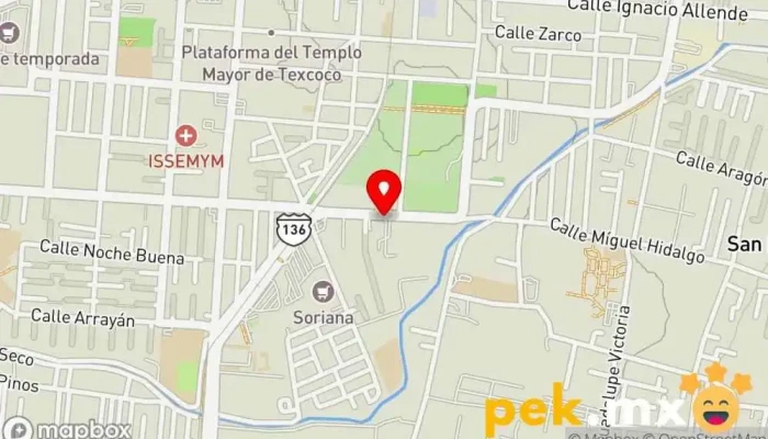 mapa de CFE PALMAS Compañía eléctrica en Texcoco de Mora