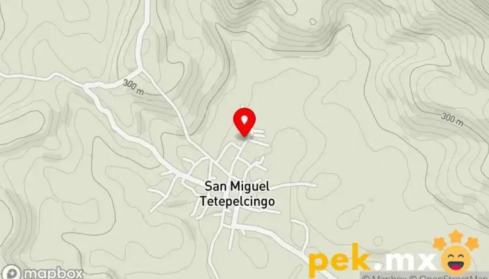 mapa de Cfe pedro ruiz Contratista de tragaluces en San Miguel Tetepelcingo