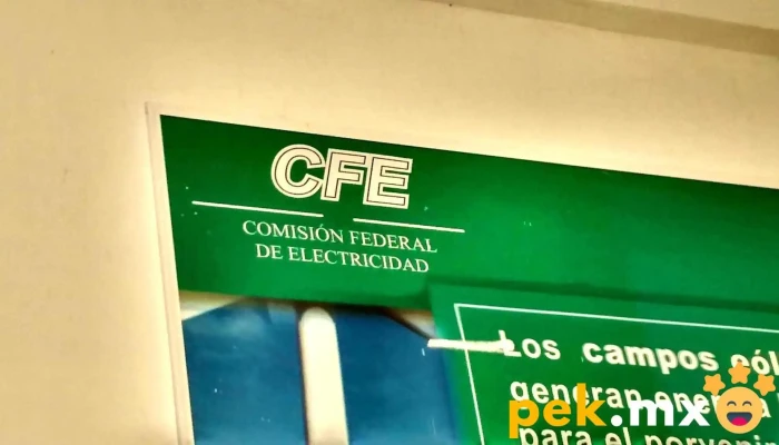 Cfe Suministro Basico Promocion - Tonatico